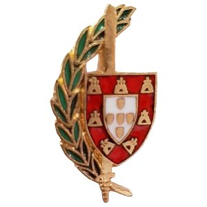 Pin Comandos (2)