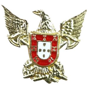 Pin Fenix