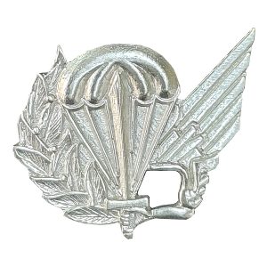 Pin Para-quedista