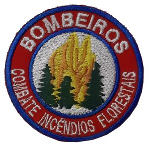 Bombeiros Combate Incêndios Florestais