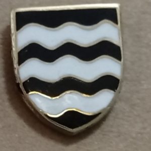 Pin GNR (2)