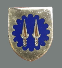 Pin Para-quedista (3)