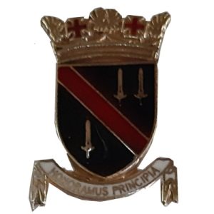 Pin Policia aérea